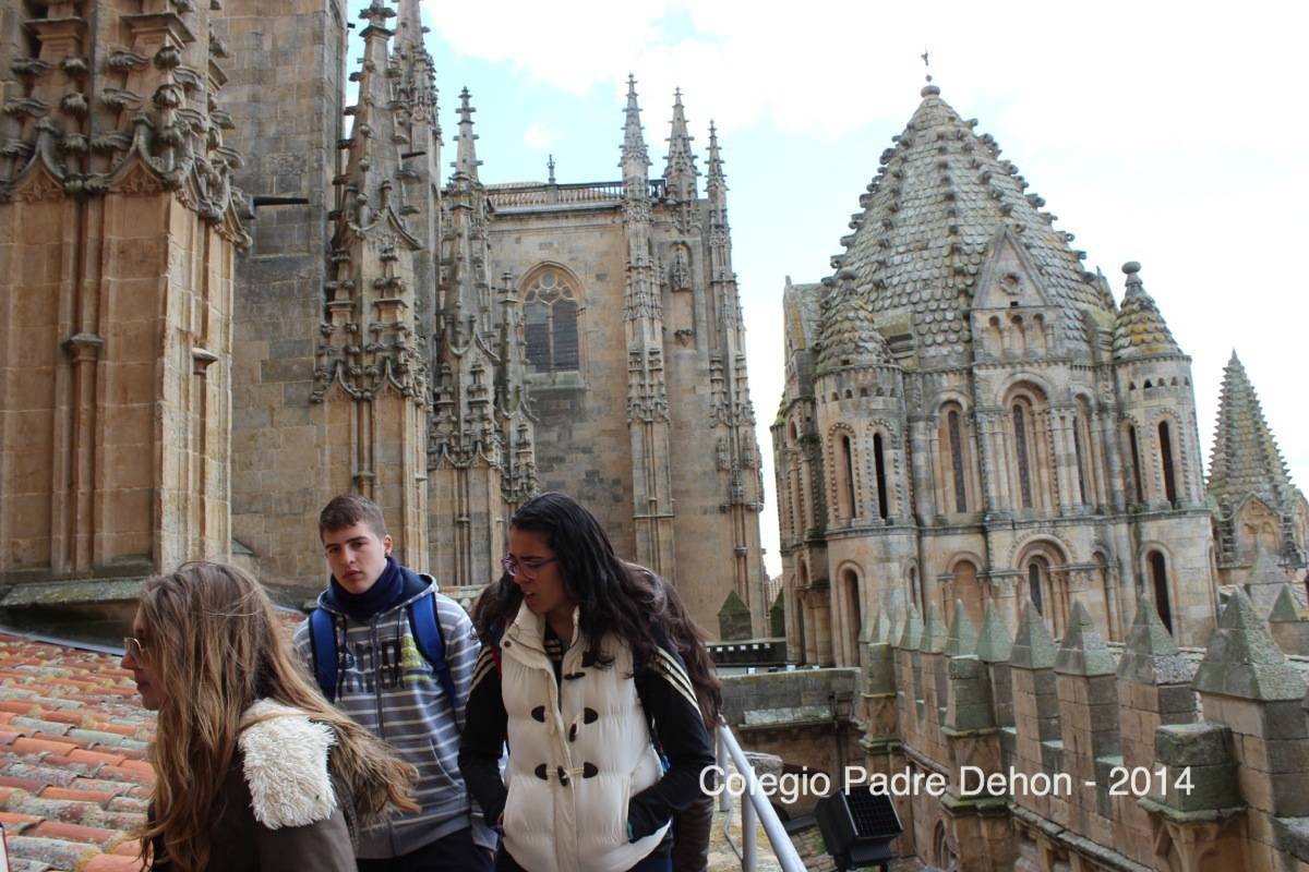 2014 03 22 SALAMANCA IERONIMUS CATEDRAL TORRE DEL GALLO (103)